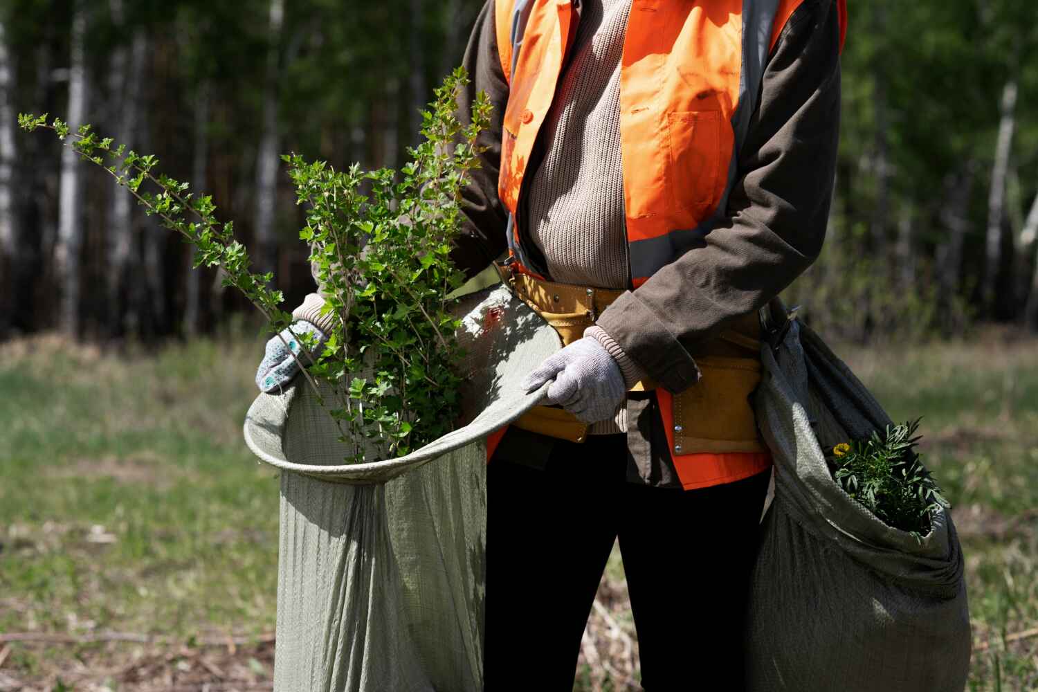 Best Tree Clearing Services  in Luling, TX